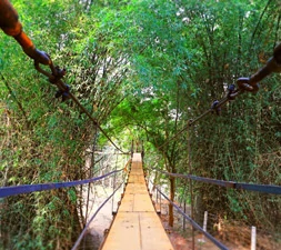 8Night-9Days-Odisha-Tour